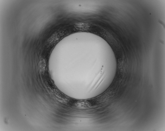 X0000100500752200806271259