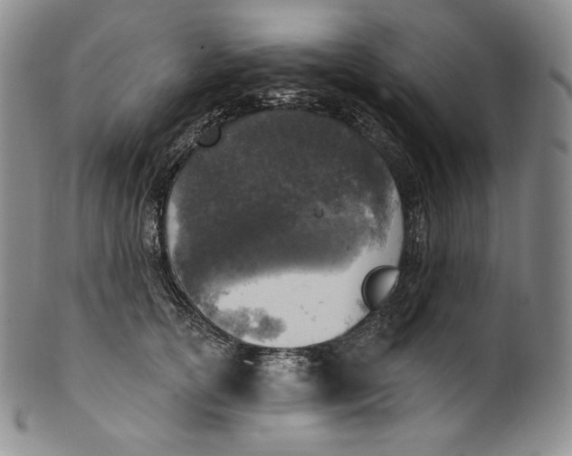 X0000100500754200806271259