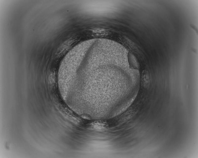 X0000100500756200806271259