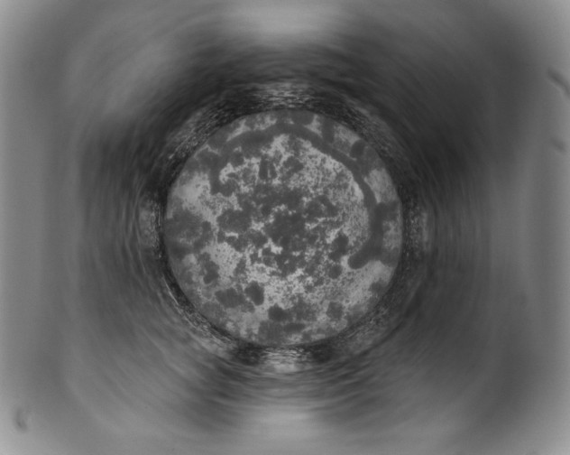 X0000100500757200806271259