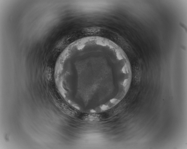 X0000100500758200806271259