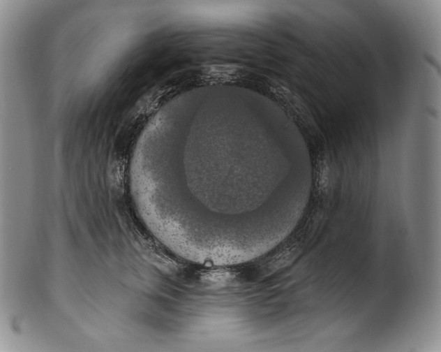 X0000100500759200806271259