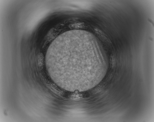 X0000100500760200806271259