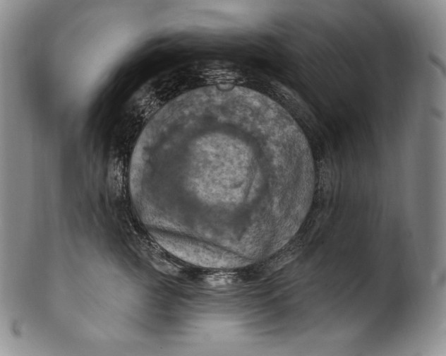 X0000100500761200806271259