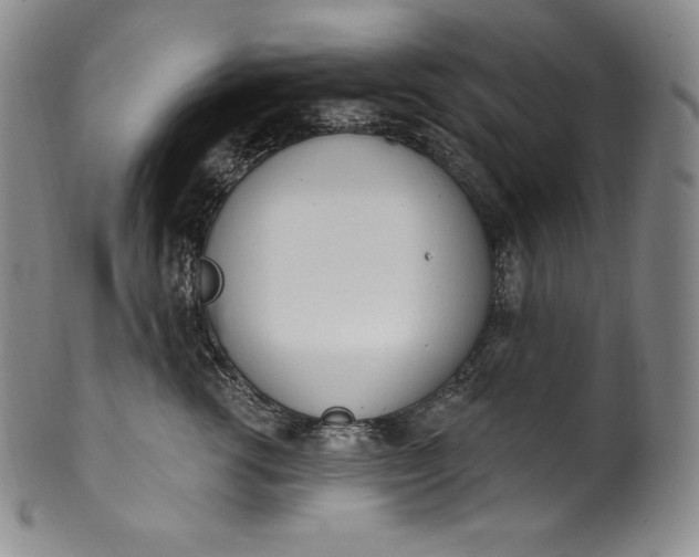 X0000100500762200806271259