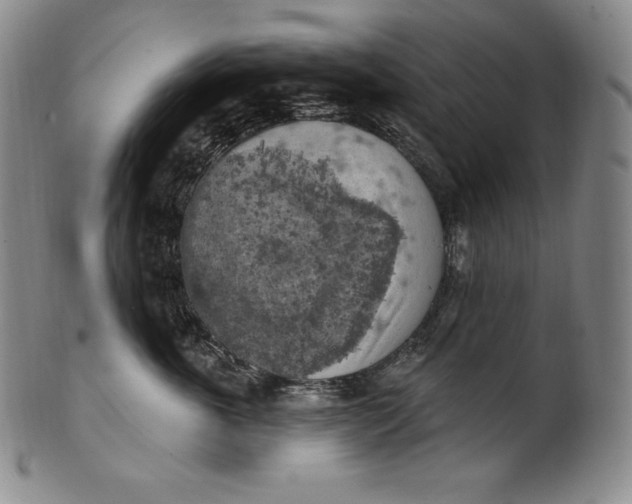 X0000100500763200806271259