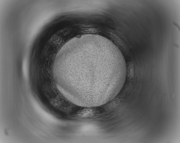 X0000100500764200806271259