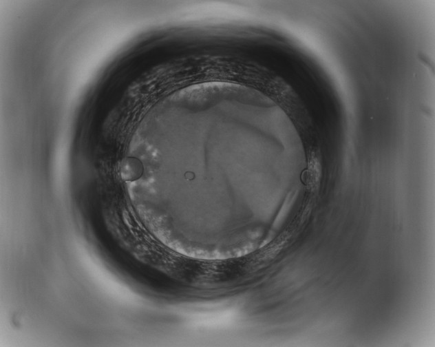 X0000100500765200806271259