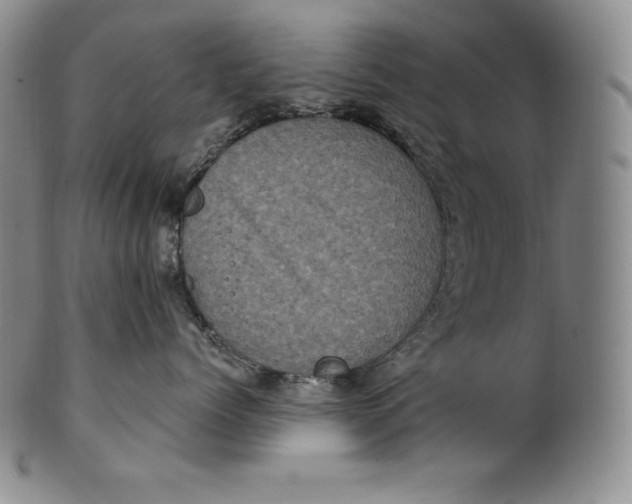 X0000100500768200806271259