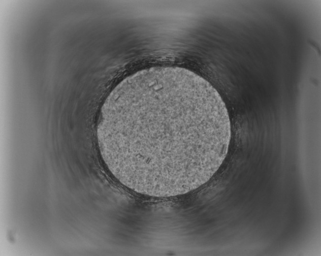 X0000100500769200806271258