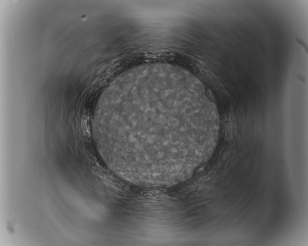 X0000100500770200806271258