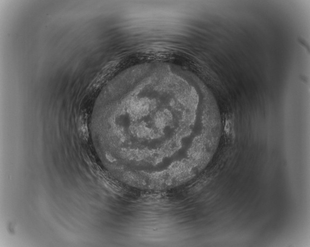 X0000100500771200806271258