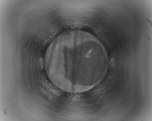 X0000100500772200806271258