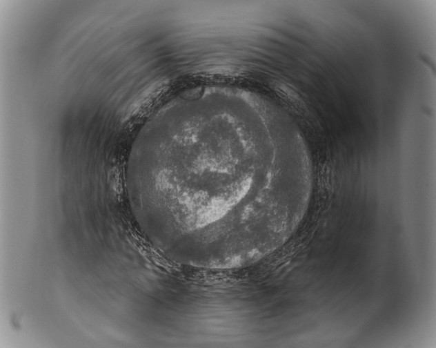 X0000100500774200806271258