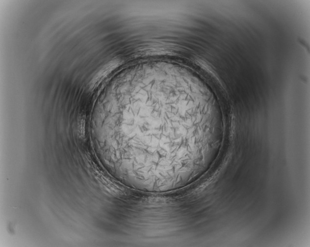 X0000100500777200806271258