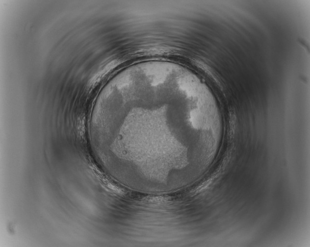 X0000100500778200806271258