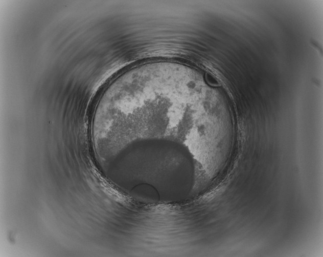 X0000100500779200806271258