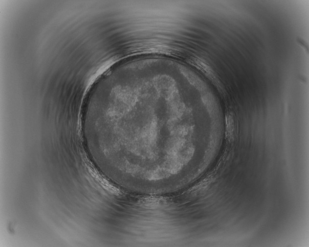 X0000100500780200806271258