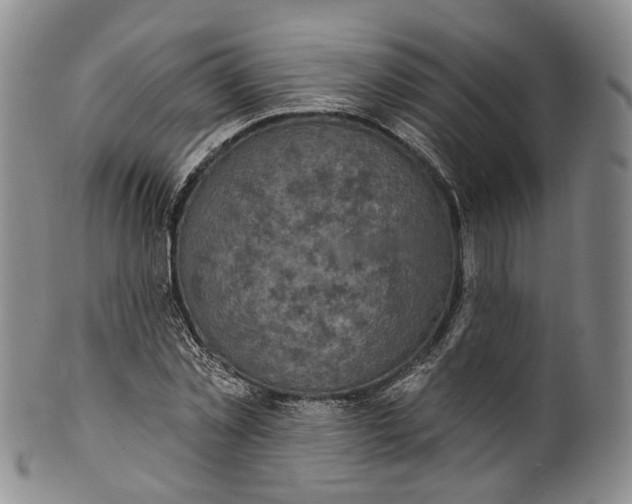 X0000100500781200806271258