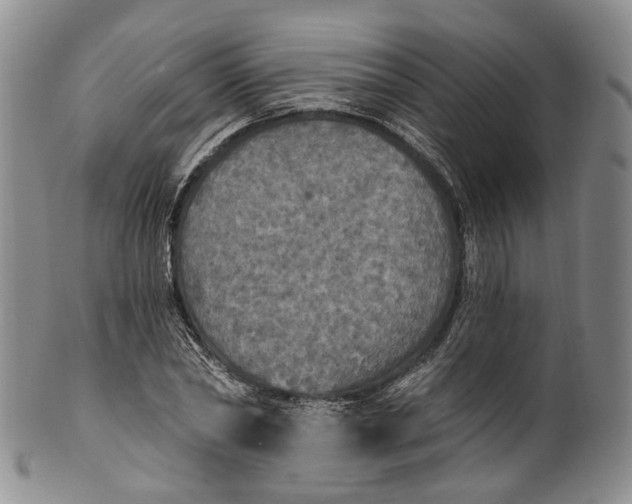 X0000100500782200806271258