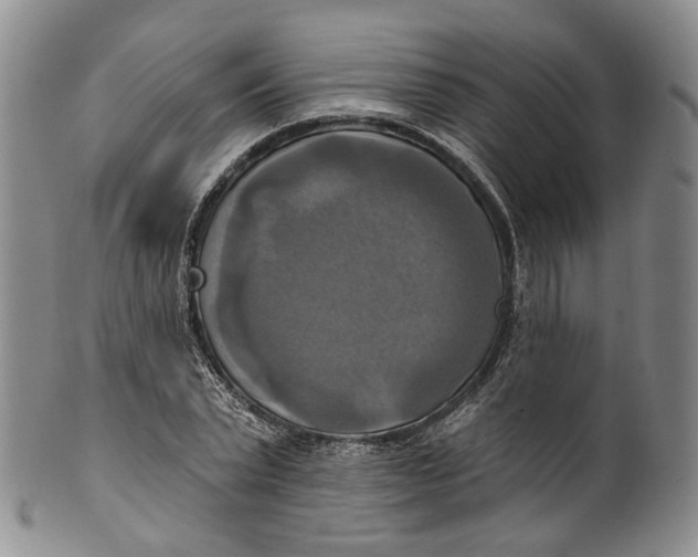 X0000100500783200806271258