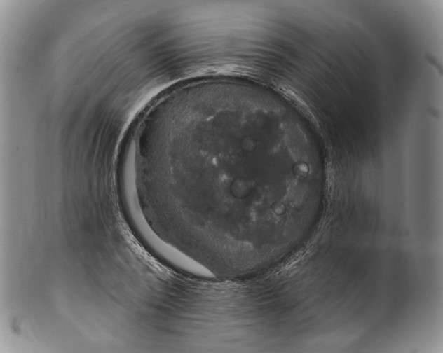 X0000100500784200806271258