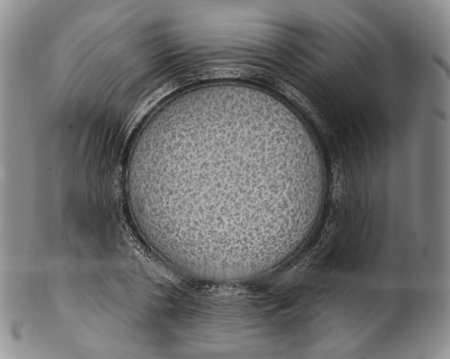 X0000100500786200806271258