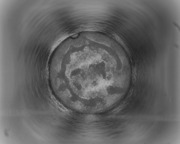 X0000100500787200806271258