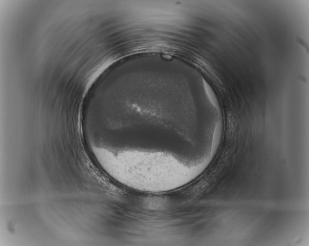 X0000100500788200806271258