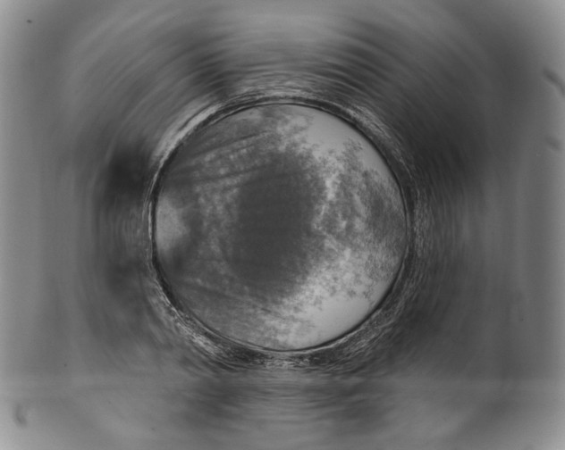 X0000100500790200806271258