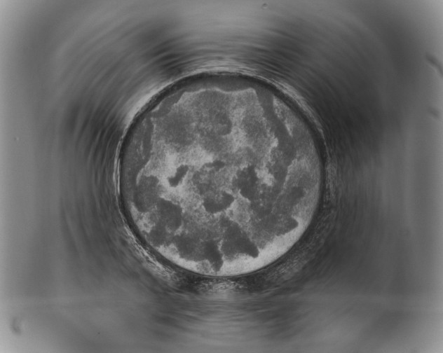 X0000100500791200806271258