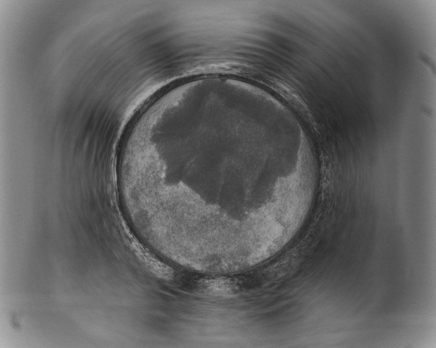 X0000100500792200806271258