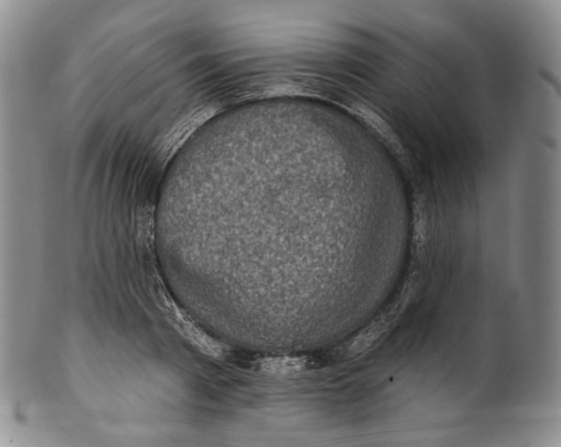 X0000100500793200806271258