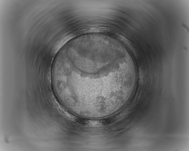 X0000100500794200806271258