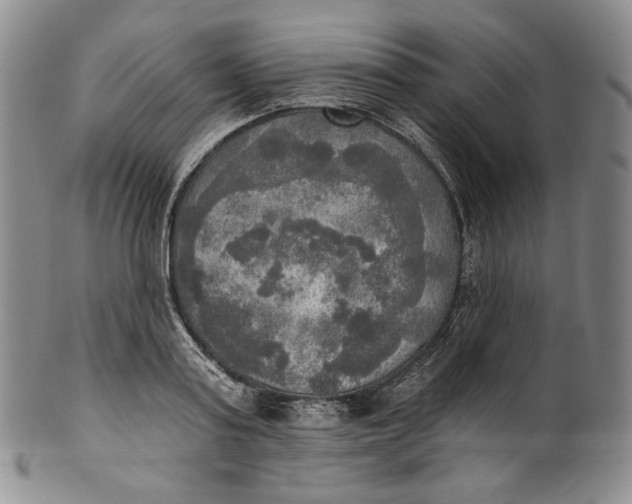 X0000100500795200806271258