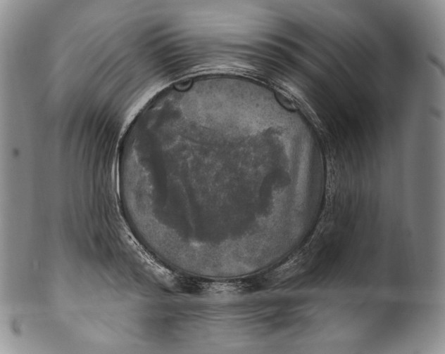 X0000100500796200806271258