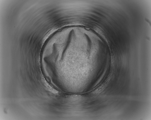 X0000100500797200806271258