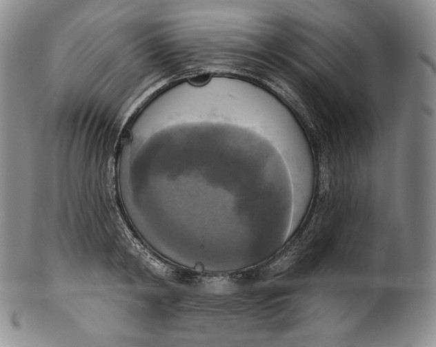 X0000100500798200806271258