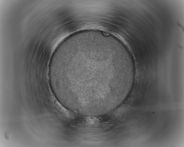 X0000100500799200806271258