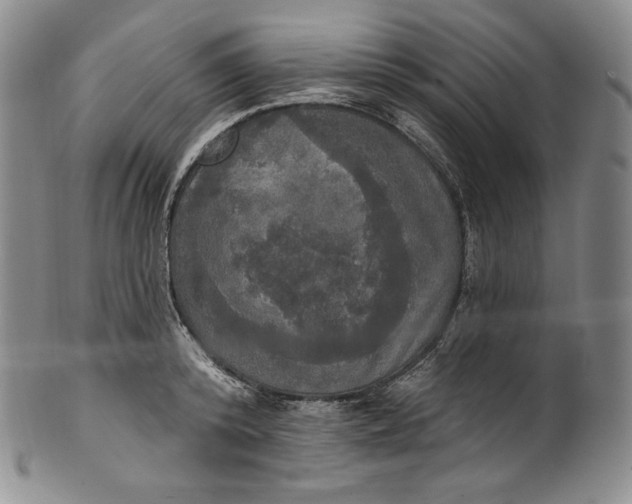 X0000100500800200806271258