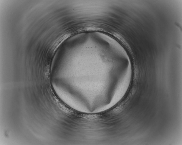 X0000100500801200806271258