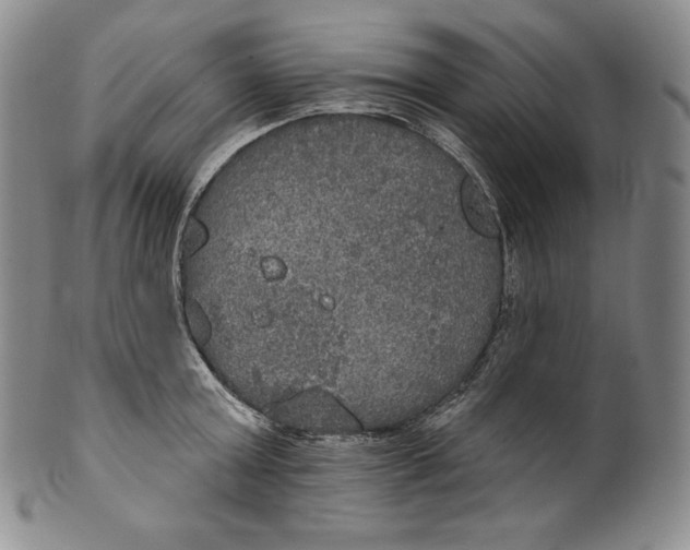 X0000100500803200806271258