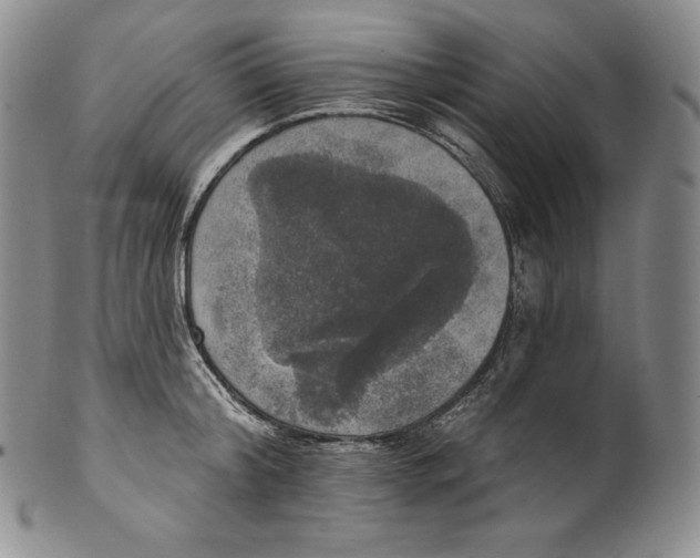 X0000100500804200806271258