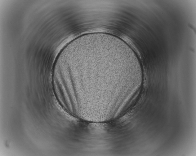 X0000100500805200806271258