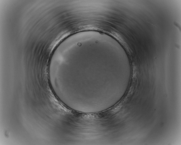 X0000100500806200806271258