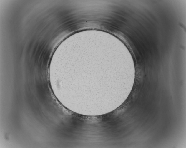 X0000100500807200806271258