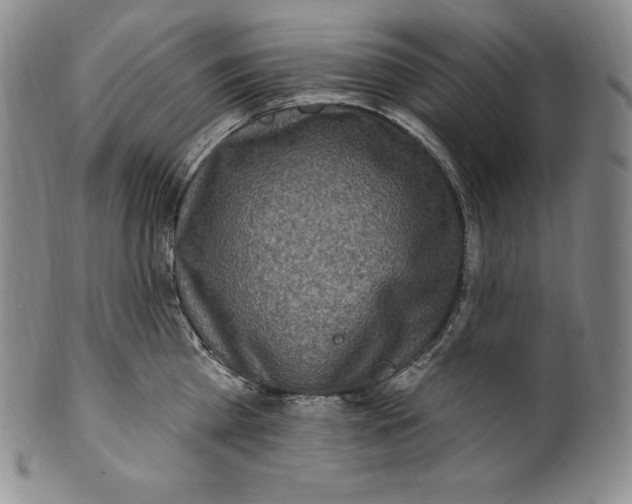 X0000100500809200806271258