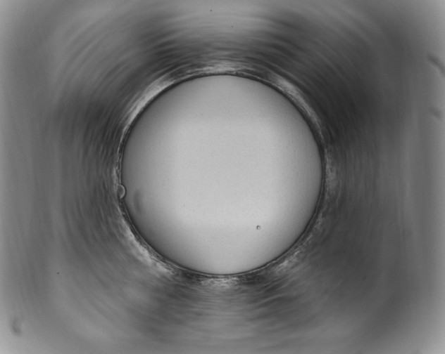 X0000100500810200806271258