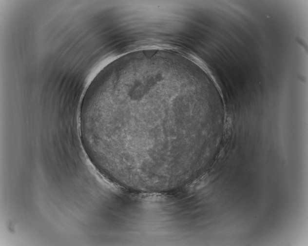 X0000100500811200806271258