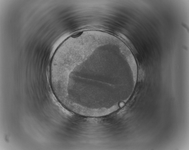 X0000100500812200806271257